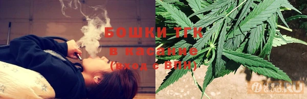 эйфоретик Арсеньев
